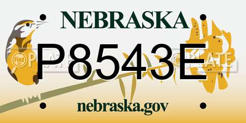 P8543E Nebraska License Plate