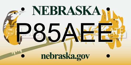 P85AEE Nebraska License Plate