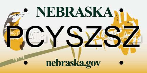 PCYSZSZ Nebraska License Plate