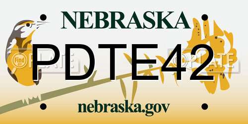 PDTE42 Nebraska License Plate