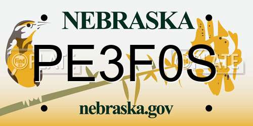 PE3F0S Nebraska License Plate