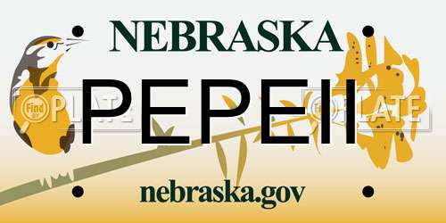 PEPEII Nebraska License Plate