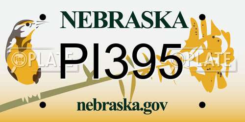 PI395 Nebraska License Plate