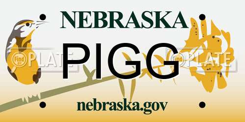 PIGG Nebraska License Plate
