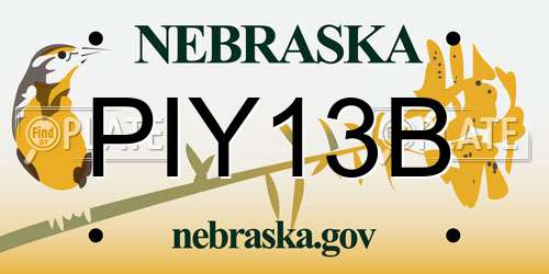 PIY13B Nebraska License Plate