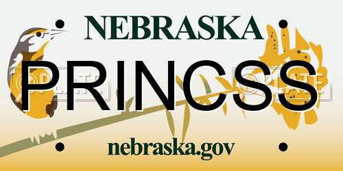 PRINCSS Nebraska License Plate