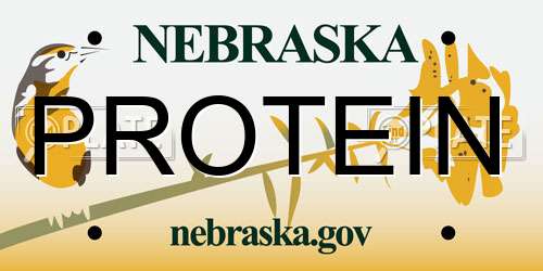PROTEIN Nebraska License Plate
