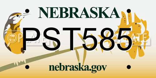 PST585 Nebraska License Plate