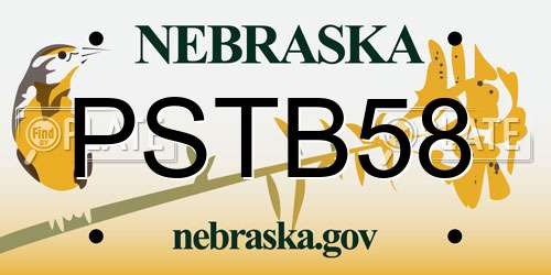 PSTB58 Nebraska License Plate