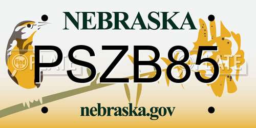 PSZB85 Nebraska License Plate