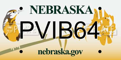 PVIB64 Nebraska License Plate