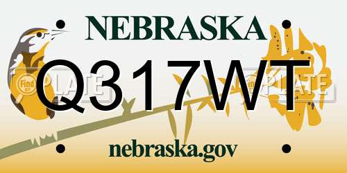 Q317WT Nebraska License Plate
