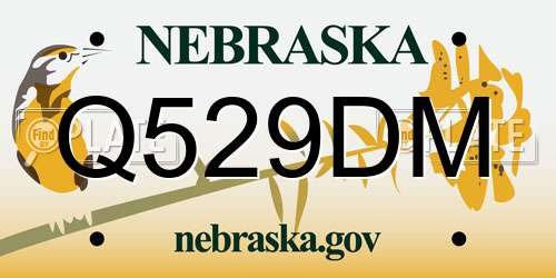 Q529DM Nebraska License Plate
