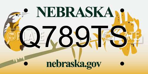 Q789TS Nebraska License Plate