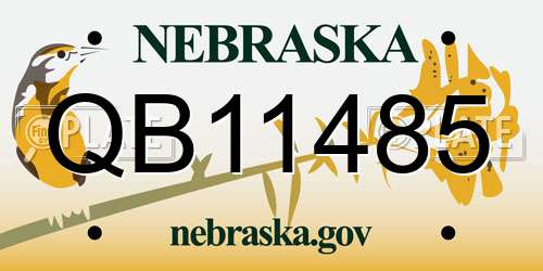 QB11485 Nebraska License Plate