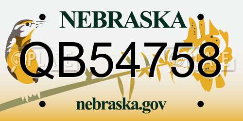 QB54758 Nebraska License Plate