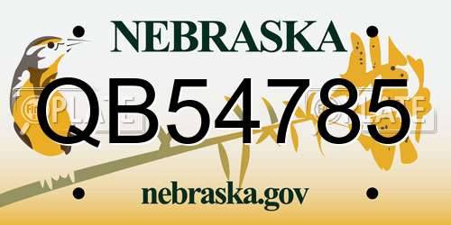 QB54785 Nebraska License Plate