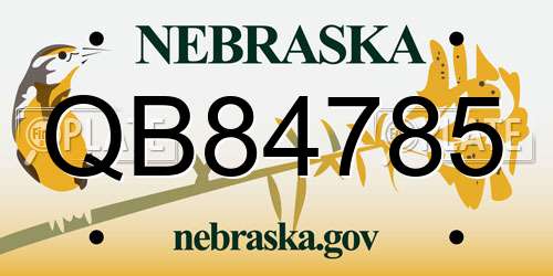 QB84785 Nebraska License Plate