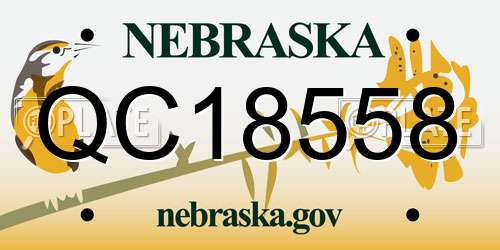 QC18558 Nebraska License Plate