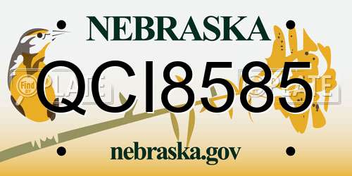 QCI8585 Nebraska License Plate