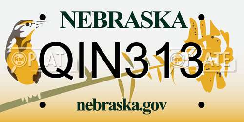 QIN313 Nebraska License Plate