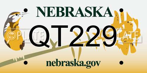 QT229 Nebraska License Plate