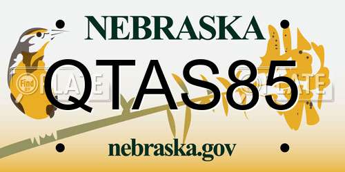 QTAS85 Nebraska License Plate