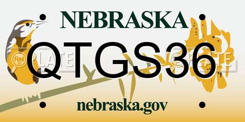 QTGS36 Nebraska License Plate