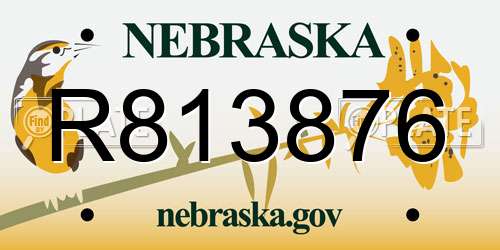 R813876 Nebraska License Plate