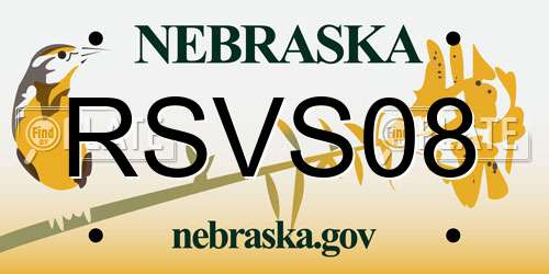RSVS08 Nebraska License Plate