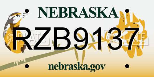 RZB9137 Nebraska License Plate