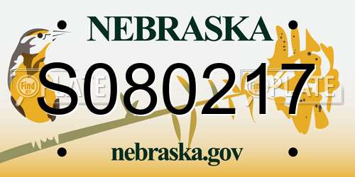 S080217 Nebraska License Plate