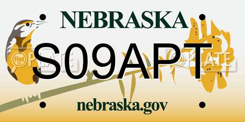 S09APT Nebraska License Plate