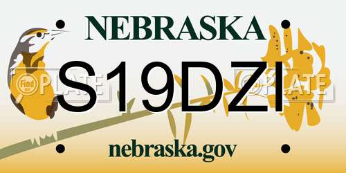 S19DZI Nebraska License Plate