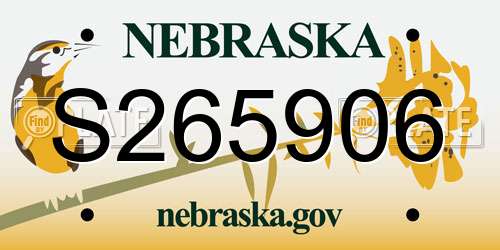 S265906 Nebraska License Plate