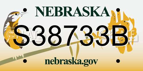 S38733B Nebraska License Plate