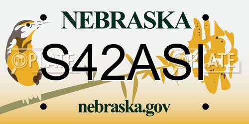 S42ASI Nebraska License Plate