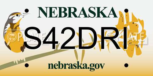 S42DRI Nebraska License Plate