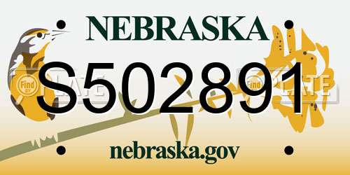 S502891 Nebraska License Plate