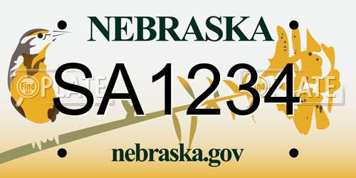 SA1234 Nebraska License Plate