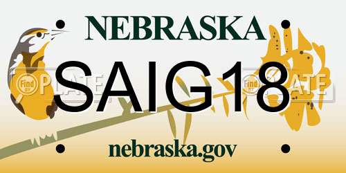 SAIG18 Nebraska License Plate