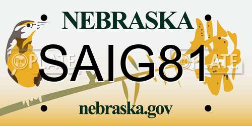 SAIG81 Nebraska License Plate