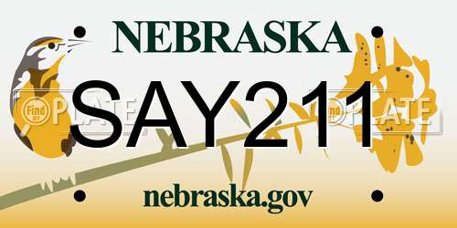 SAY211 Nebraska License Plate