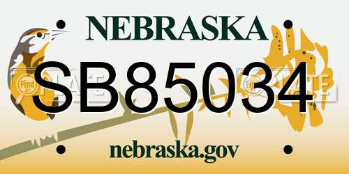 SB85034 Nebraska License Plate