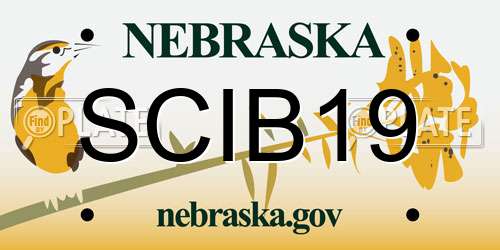 SCIB19 Nebraska License Plate