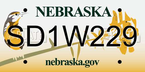 SD1W229 Nebraska License Plate