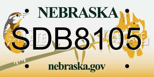 SDB8105 Nebraska License Plate