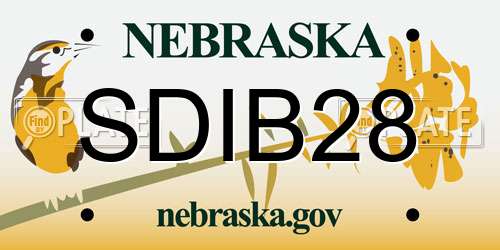 SDIB28 Nebraska License Plate