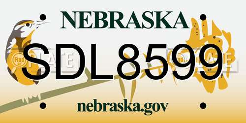 SDL8599 Nebraska License Plate