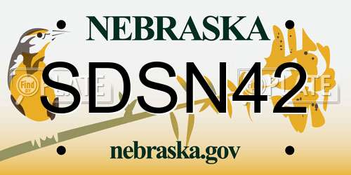 SDSN42 Nebraska License Plate